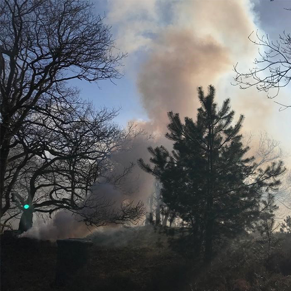 Fireware - BAMBI Waldbrand-Simulator